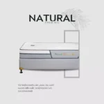 anh san pham nem dau co tonybed 5