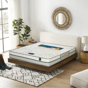 Trang chủ 28 Nệm dầu cọ five star