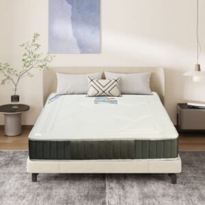 Trang chủ 32 Nệm lò xo túi Dream Star