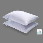 cap-roi-premium-tonybed-goc-xeo