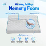 gối công thái học chống đau mỏi cổ memory foam tonybed