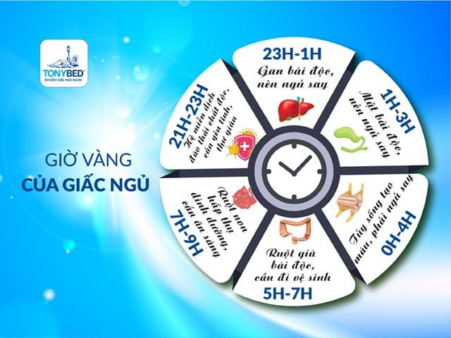 Khung giờ vàng đi ngủ tốt nhất cho sức khỏe
