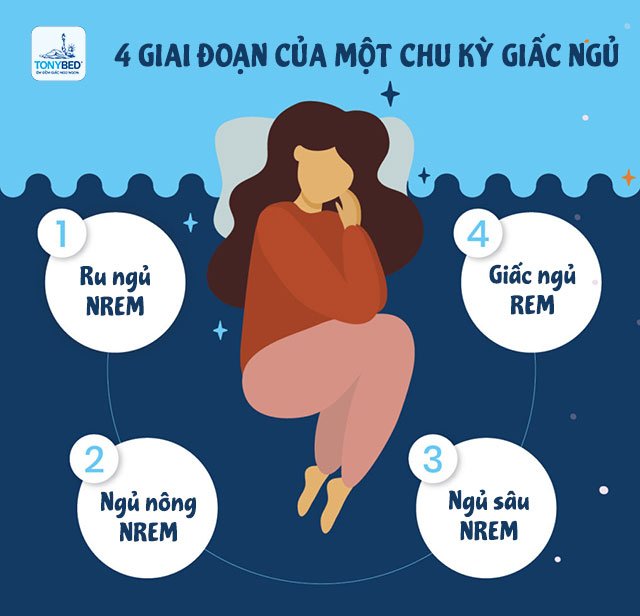 Hiện tượng quán tính giấc ngủ REM