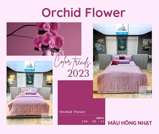 Nên chọn màu sắc trong phòng ngủ như thế nào để ngủ ngon và thư giãn hơn? 6 Phòng ngủ màu hồng nhạt