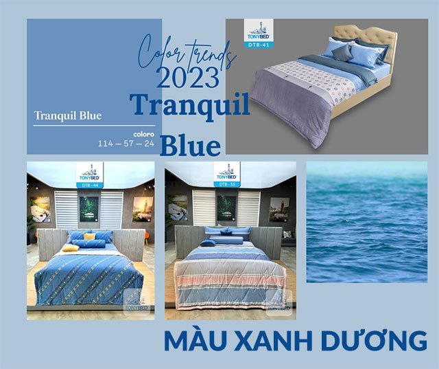 Nên chọn màu sắc trong phòng ngủ như thế nào để ngủ ngon và thư giãn hơn? 2 Phòng ngủ màu xanh lam