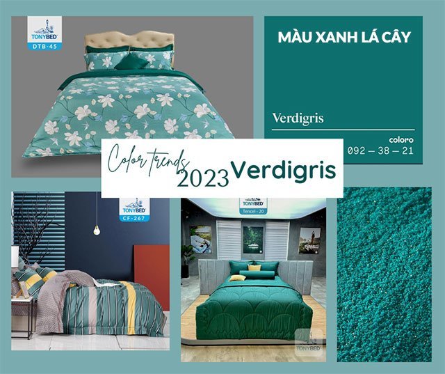 Nên chọn màu sắc trong phòng ngủ như thế nào để ngủ ngon và thư giãn hơn? 3 Phòng ngủ màu xanh lá