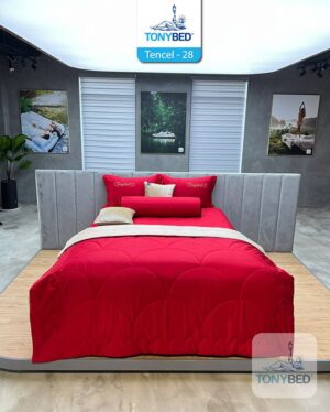 Bộ Drap Ga Trải Giường Tencel Màu – TCM28