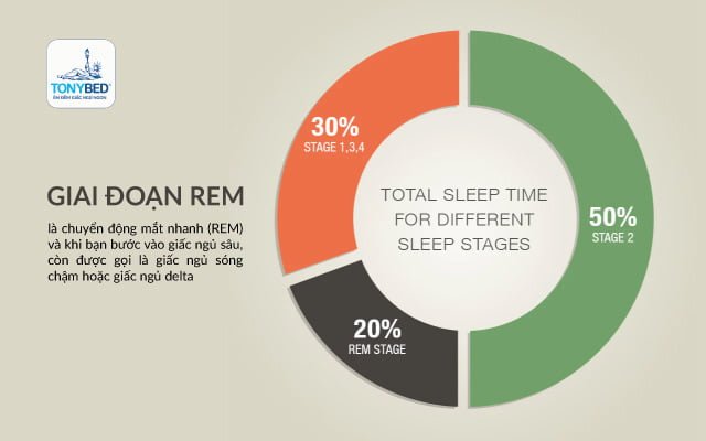 Những nguyên nhân ảnh hưởng đến chất lượng giấc ngủ