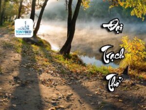 Đại Trạch Thổ