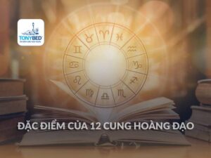 Tính cách 12 cung hoàng đạo