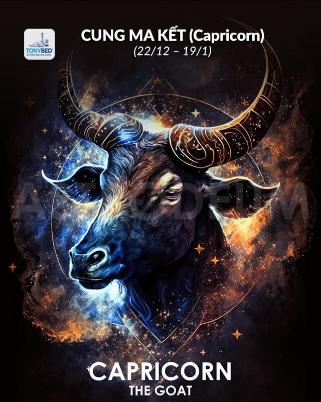 Tính cách cung Ma Kết