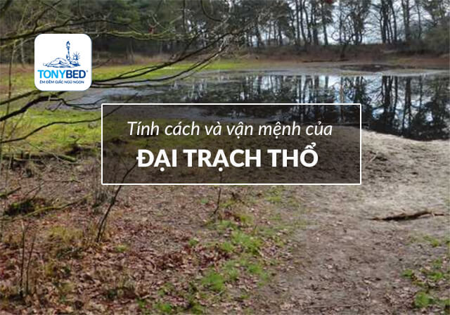 Tính cách vận mệnh Đại Trạch Thổ