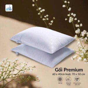 Trang chủ 49 Gối nằm Premium Tonybed