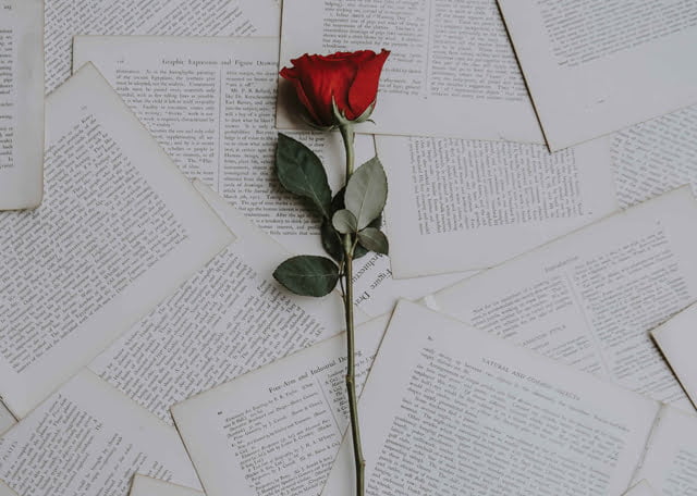 Happy white valentine day