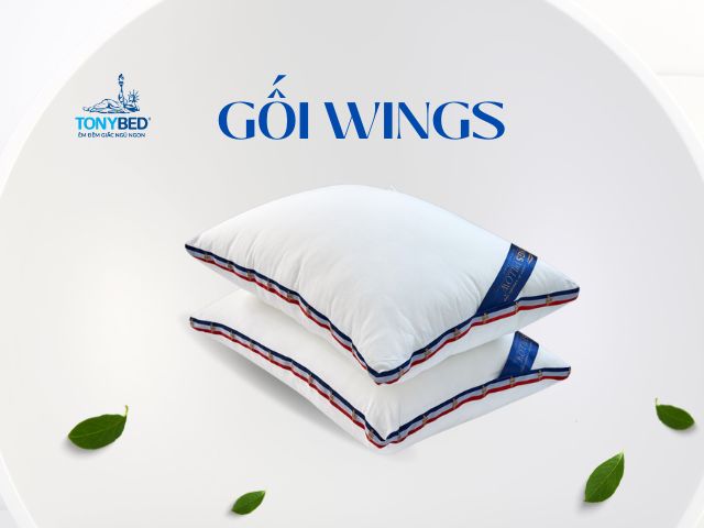 goi nam chat lieu to tam wings tonybed