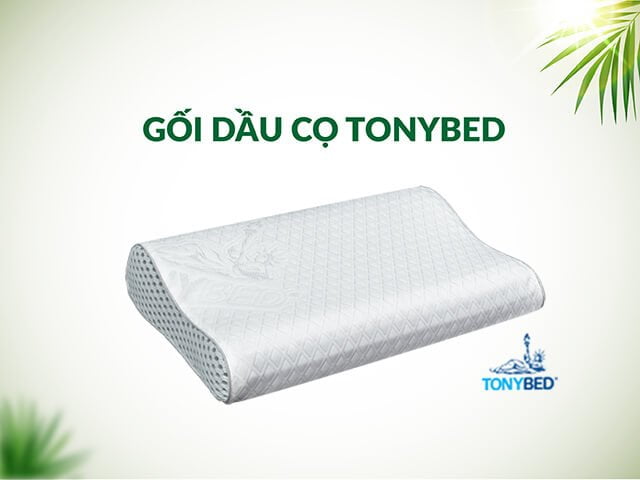 Gối nằm công thái học dầu cọ