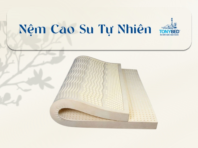 Nệm Cao Su Hay Nệm Lò Xo Tốt Hơn? Tất Tần Tật Những Gì Bạn Cần Biết 1 nem cao su thien nhien