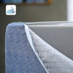 ruot-goi-chong-suy-gian-tinh-mach-xanh-den