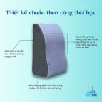 thiet-ke-goi-chong-suy-gian-tinh-mach-xanh-den