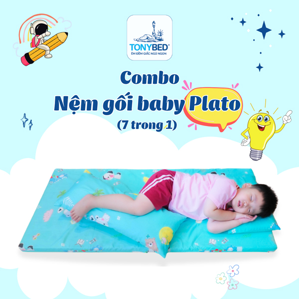 Bộ nệm gối cho bé đi học Plato 2 Combo nem baby Plato dau co