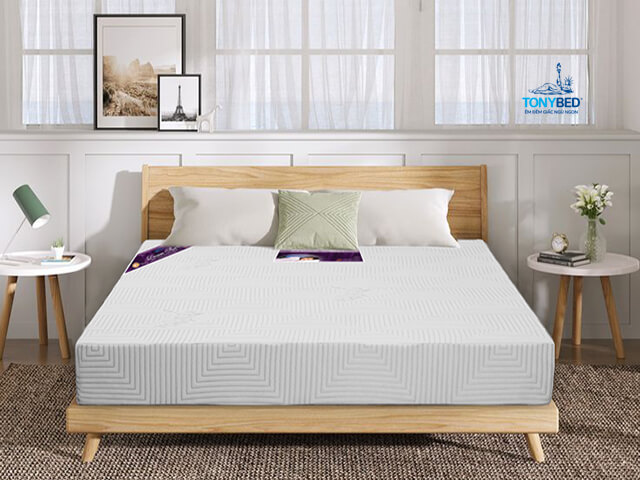 Top 5 Thương Hiệu Nệm Foam Có Lỗ Thông Hơi Tốt Nhất 2 Nem foam co lo thong hoi Five Star