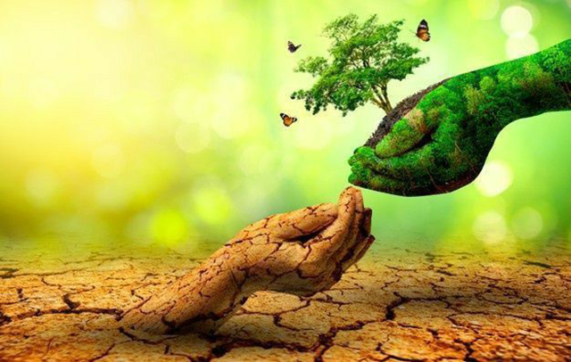 Y nghia ngay moi truong the gioi