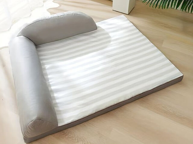 Cách Chọn Nệm Cho Chó Mèo Phù Hợp: Bí Quyết Từ Chuyên Gia Thú Y 3 Nem foam danh cho cho meo