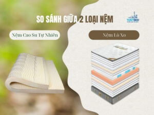nệm cao su hay nệm lò xo tốt hơn