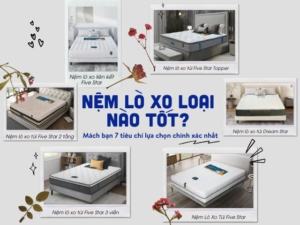 nem-lo-xo-loai-nao-tot