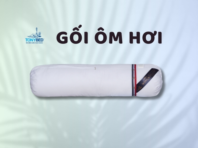 Mua Gối Ôm Hơi Ở Đâu? 2 Goi om hoi Tonybed