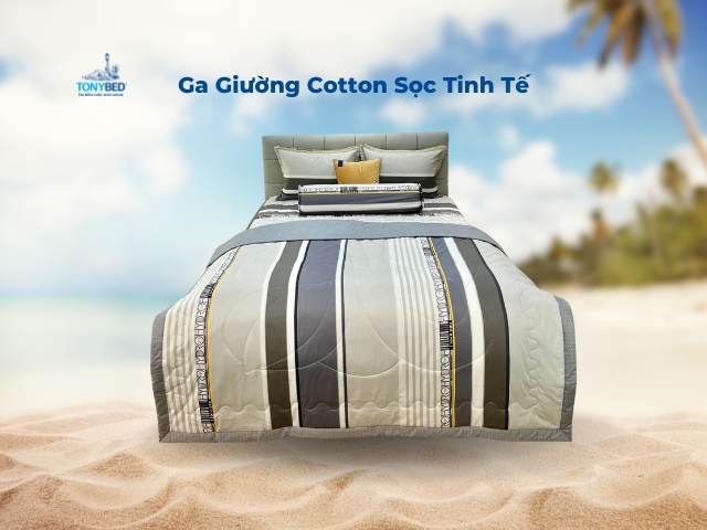 Những Mẫu Ga Trải Giường Cotton Tonybed Được Ưa Chuộng Nhất 3 Ga giuong Cotton soc tinh te