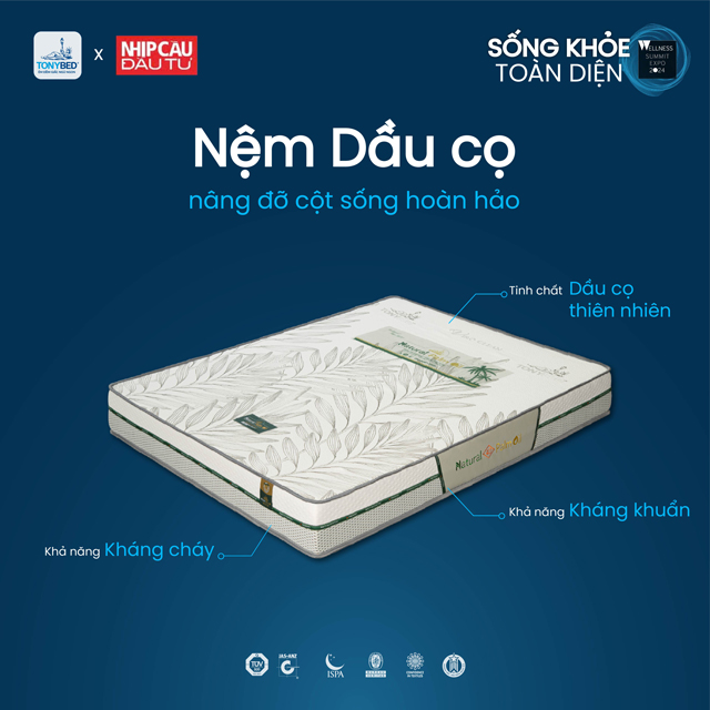 Cùng Tonybed nâng tầm giấc ngủ và chăm sóc sức khỏe tại sự kiện Wellness Summit Expo 2024 3 Sống-khỏe-toàn-diện-02