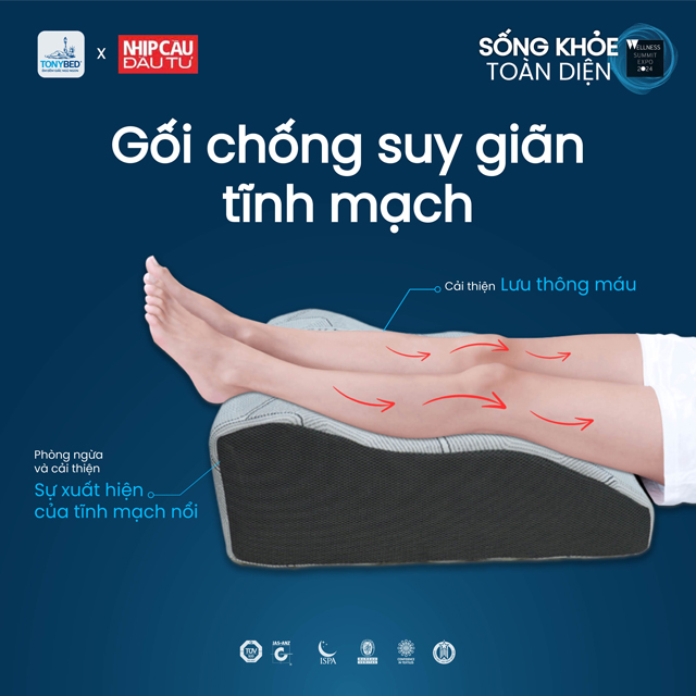 Cùng Tonybed nâng tầm giấc ngủ và chăm sóc sức khỏe tại sự kiện Wellness Summit Expo 2024 2 Sống-khỏe-toàn-diện-03