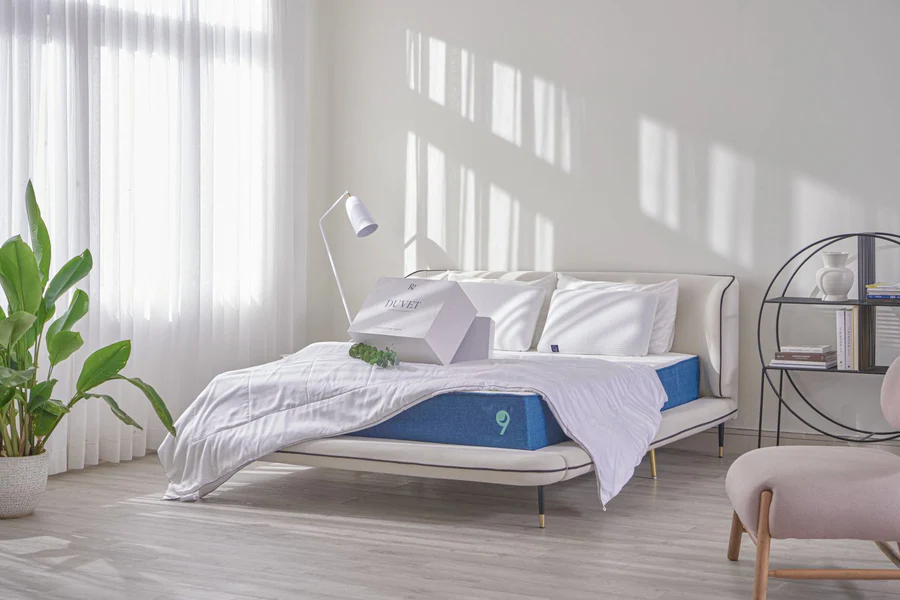 Trang chủ 25 chan-bach-dan-ru9_resize_ccf7d44e-e418-4986-b0bb-36c58ab2a29b_900x