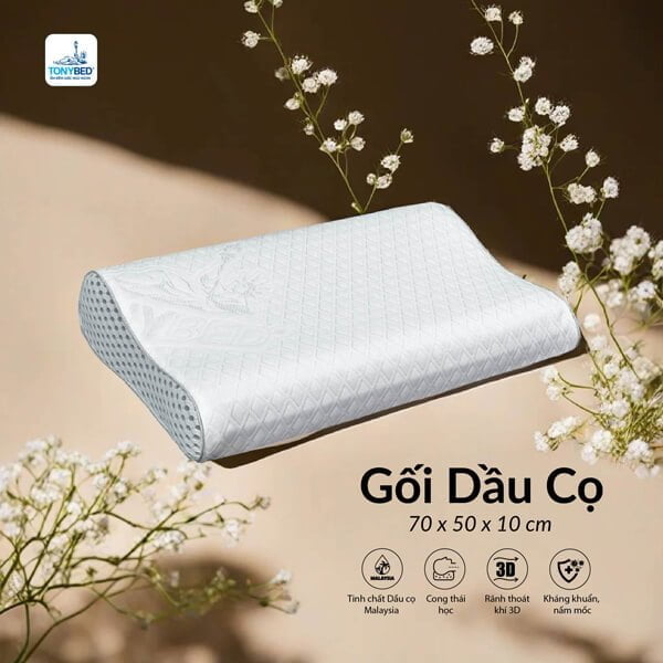 gối công thái học dầu cọ