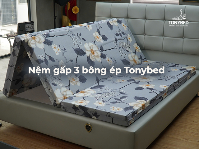Top các dòng nệm gấp 3 chất lượng được lựa chọn phổ biến hiện nay 2 Nem gap 3 bong ep Tonybed