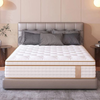 Trang chủ 18 nệm tonybed
